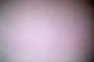 Dust on 5D Mark IV, take 2.jpg