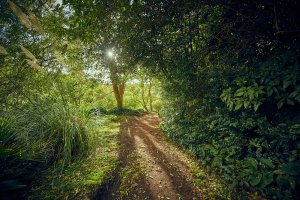 bells brae scenic 744.jpg