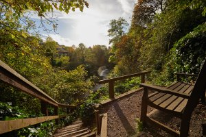 bells brae scenic 780.jpg