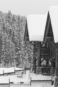 _36A4644 copy copy.jpg