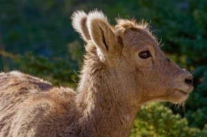 _MG_4078 copy_DxO copy-Edit.jpg