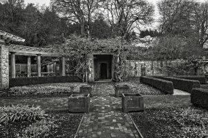 _MG_7325 copy copy.jpg