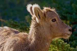 _MG_4078 copy_DxO copy-Edit.jpg