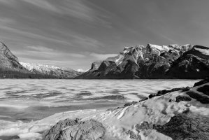 _MG_4109 copy_DxO copy.jpg