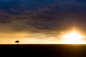 untitled (1 of 1).jpg