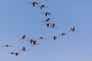 untitled (1 of 2).jpg