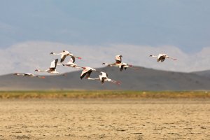 untitled (2 of 2).jpg