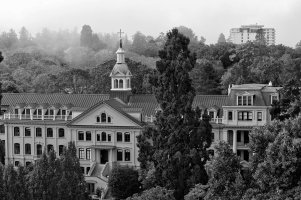 _DSF1322 copy copy.jpg