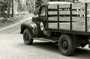 _DSF0887 copy copy copy.jpg