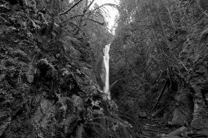 _MG_7787 copy_DxO copy.jpg