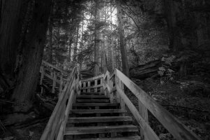 _DSF1532 copy-Edit.jpg