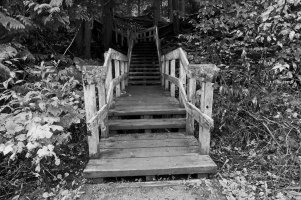 _DSF1531 copy copy.jpg