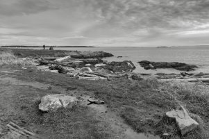 _MG_5034 copy_DxO.jpg