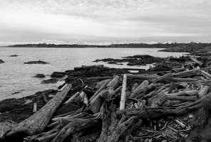 _MG_5036 copy_DxO.jpg