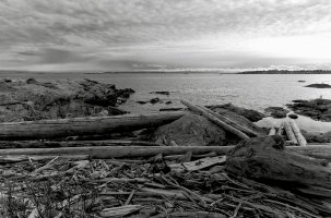 _MG_5039 copy_DxO.jpg