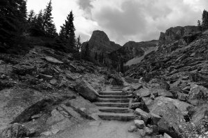 _MG_0432 copy_DxO copy_DxOVP (2).jpg