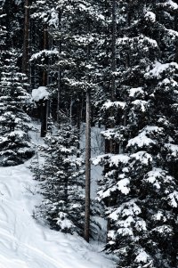 _36A4640 copy_DxO copy.jpg