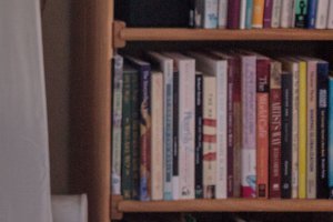 Raw processed crop.jpg