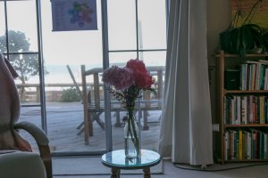 mRaw processed 1.jpg