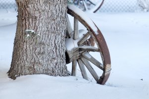 Wagon wheel copy.jpg