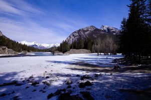 Bow River vista Colour copy.jpg