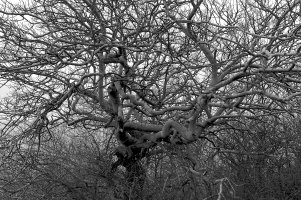 _MG_5049 copy_DxO.jpg