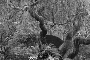 _MG_5234 copy_DxO.jpg