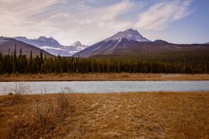 _MG_0361-Edit (1).jpg