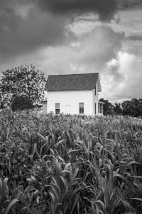 11-17-17-3 (1 of 1).jpg