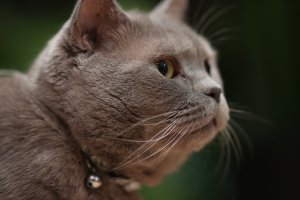 6C2397F1-A666-4F0B-A23E-A76F03DB6024.jpeg