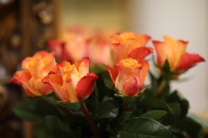 875315B4-AC07-437F-ACE5-F191E534DB15.jpeg