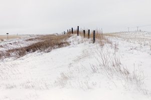 _MG_7080 copy_DxO (1).jpg