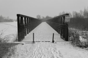 _MG_2456 copy_DxO-1.jpg