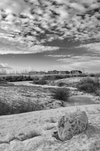 _MG_7135_DxO copy.jpg