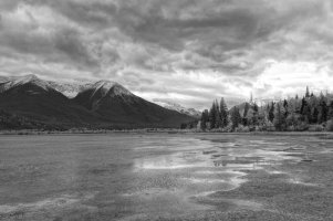 _MG_8010_edited-1 copy.jpg