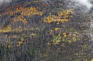 _MG_5693 copy_DxO.jpg