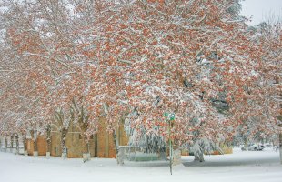 0 Christmas16 Small.jpg