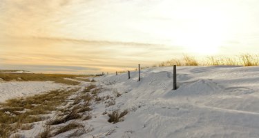 Winter afternoon.jpg