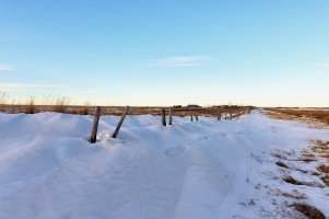 _MG_10892_DxO (1).jpg