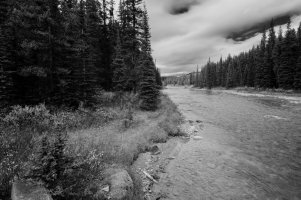 _DSF1570 copy (1).jpg