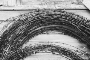 Barbed wire.jpg