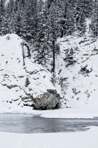 Bow River detail.jpg