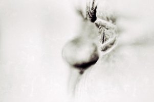 Satyr in profile.jpg