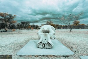 20171102_Etosha_630_0059-Bearbeitet.jpg