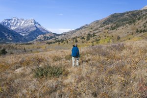 Looking for grizzlies.jpg