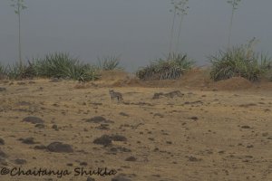 IMG_8395.jpg