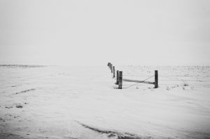 IMG_3439_DxO copy.jpg