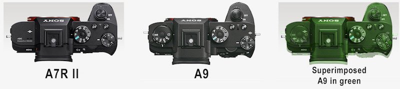A7R II vs A9 copy.jpg