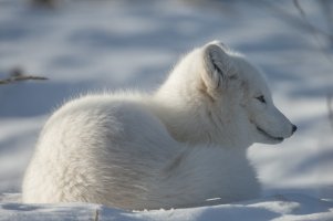 1DX_0195.jpg