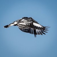 untitled (1 of 1)-6.jpg